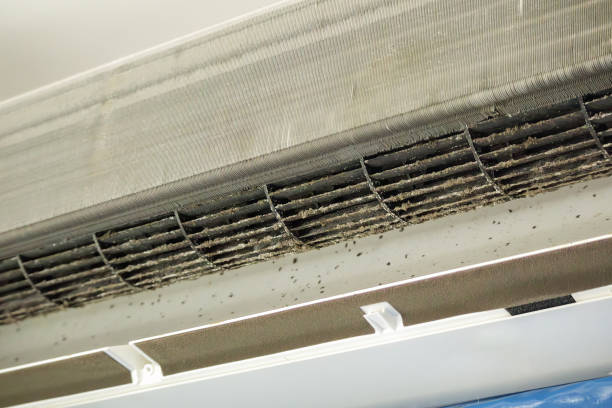 Best Affordable HVAC Duct Cleaning  in Madison Center, CT